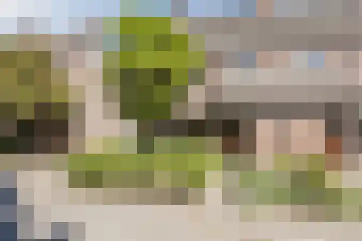 Vlaskamp 4 Hoogeveen thumbnail 48