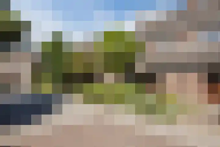 Vlaskamp 4 Hoogeveen thumbnail 49