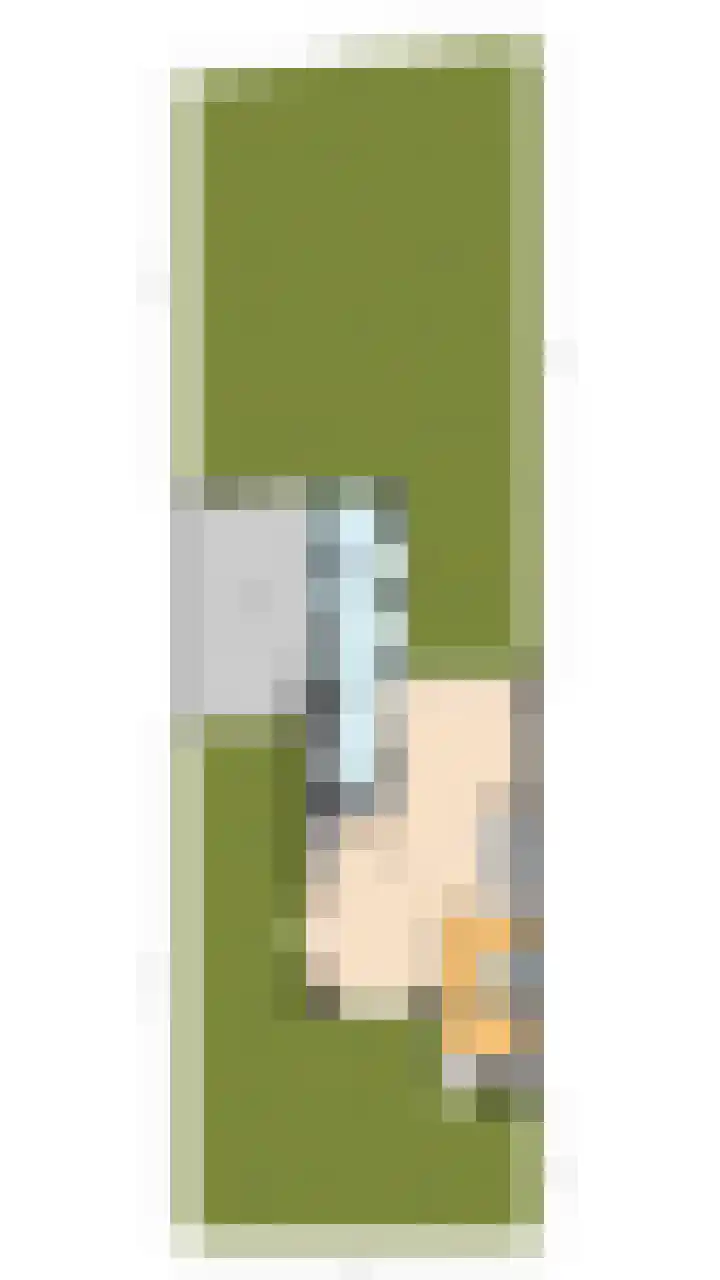 Vlaskamp 4 Hoogeveen thumbnail 53