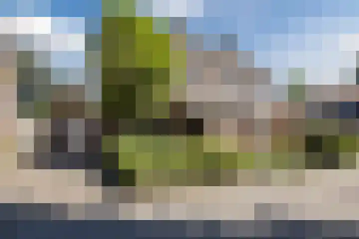Vlaskamp 4 Hoogeveen thumbnail 54