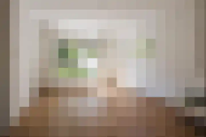 Vlaskamp 4 Hoogeveen thumbnail 6