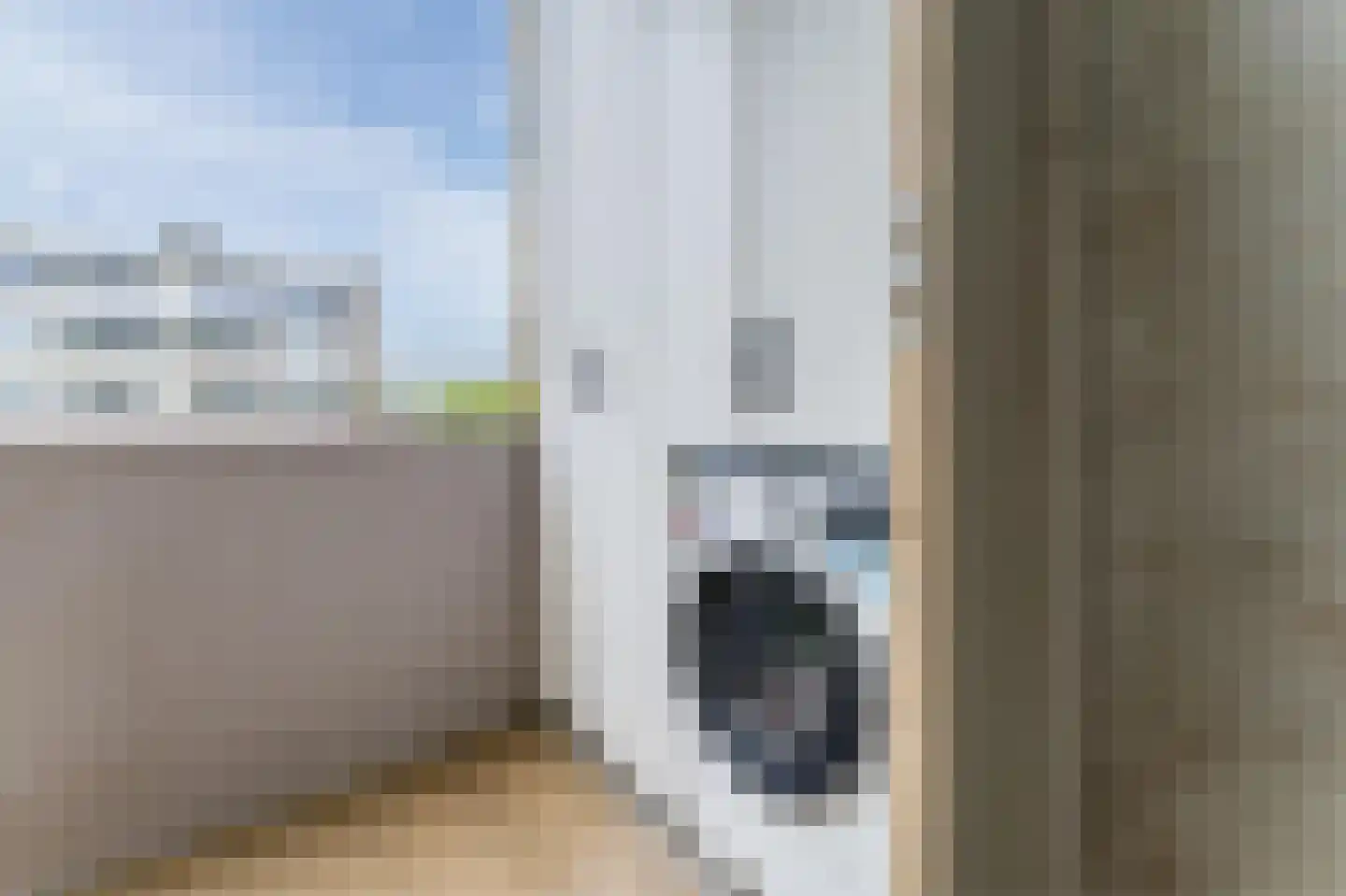 Vlaskamp 452 Den Haag thumbnail 18