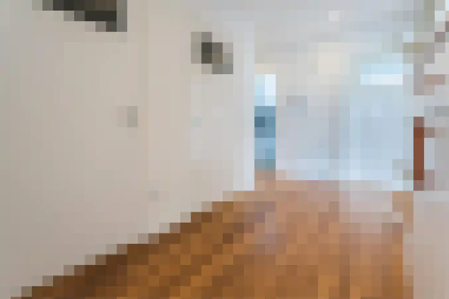 Vlaskamp 452 Den Haag thumbnail 19