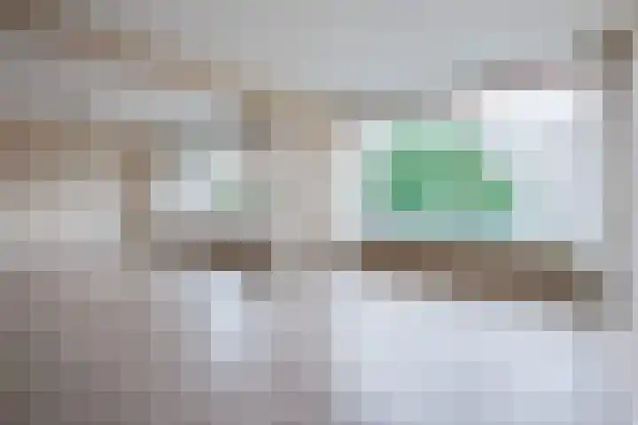 Vlaskamp 494 Den Haag thumbnail 17