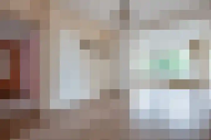 Vlaskamp 494 Den Haag thumbnail 6