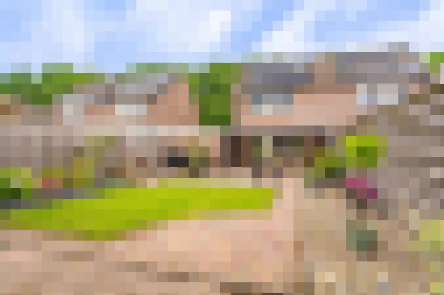 Vlaskamp 5 Delfzijl thumbnail 20