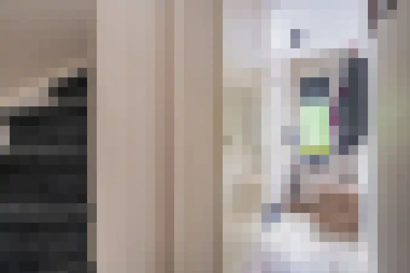 Vlaskamp 5 Delfzijl thumbnail 27