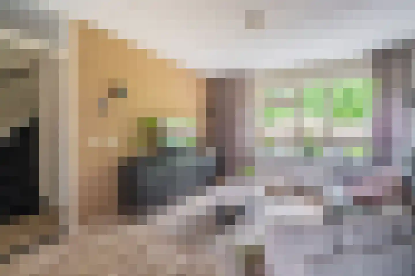 Vlaskamp 5 Delfzijl thumbnail 29
