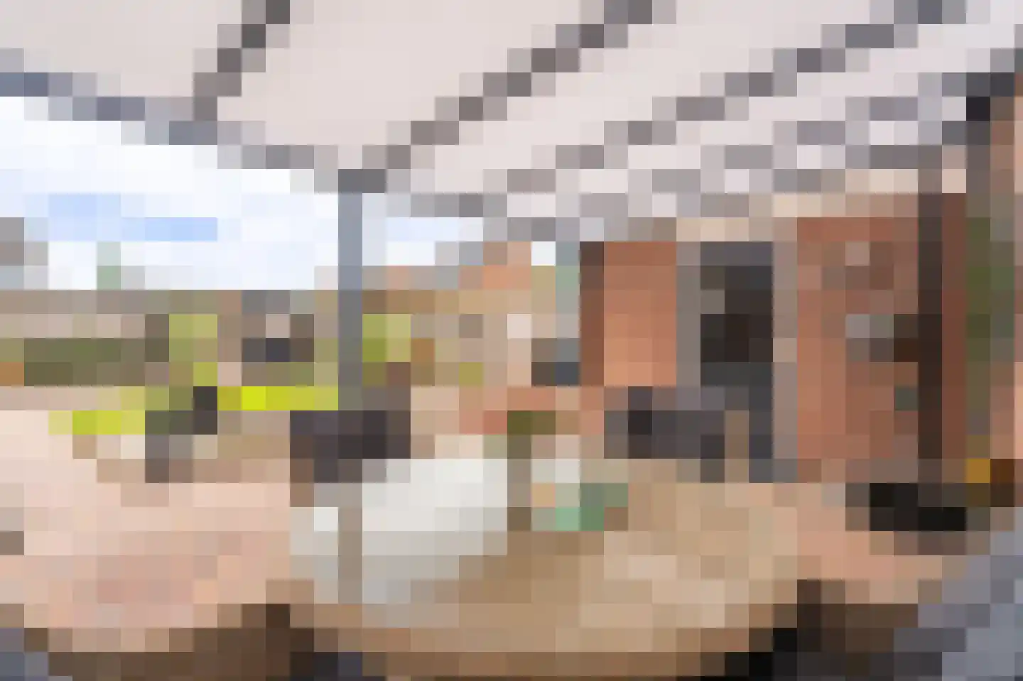 Vlaskamp 5 Delfzijl foto 3