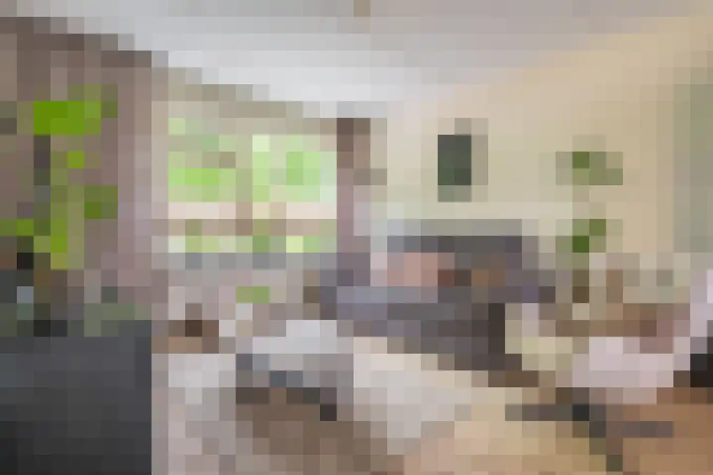 Vlaskamp 5 Delfzijl thumbnail 32