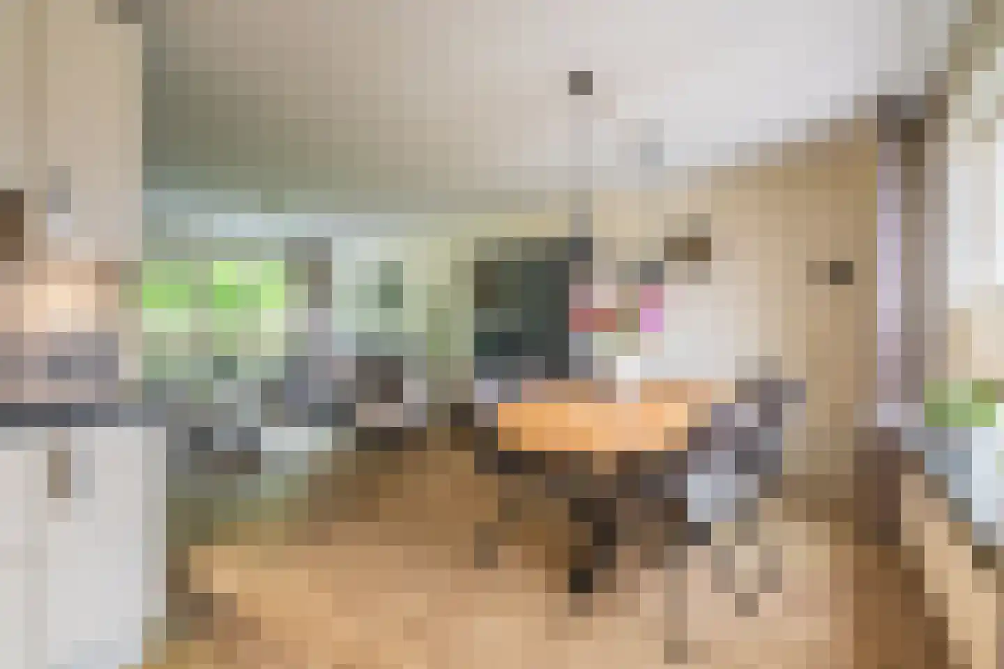 Vlaskamp 5 Delfzijl thumbnail 34
