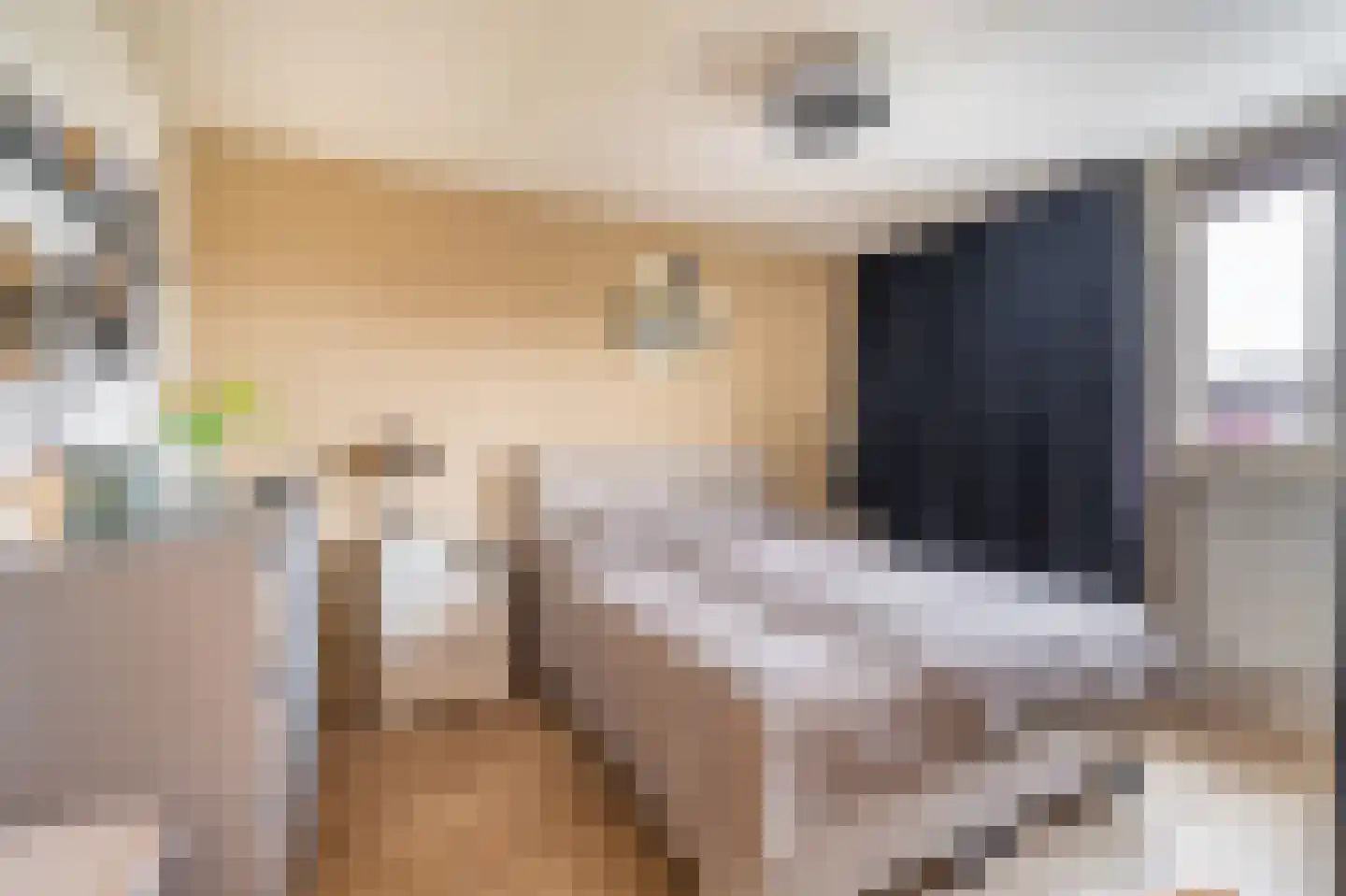 Vlaskamp 5 Delfzijl thumbnail 39