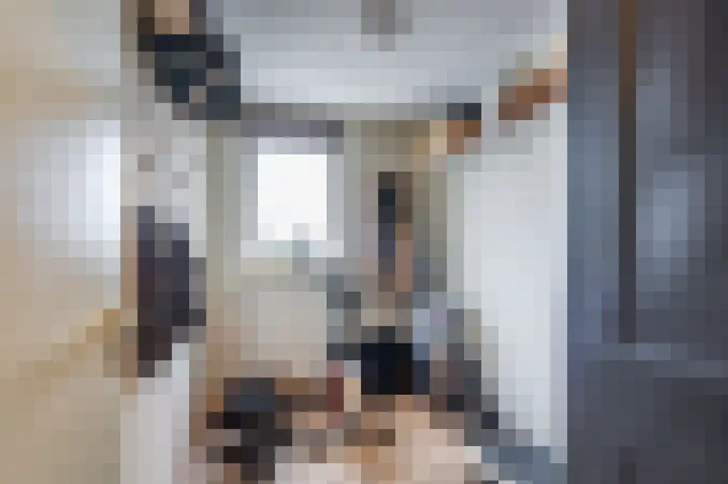 Vlaskamp 5 Delfzijl thumbnail 45