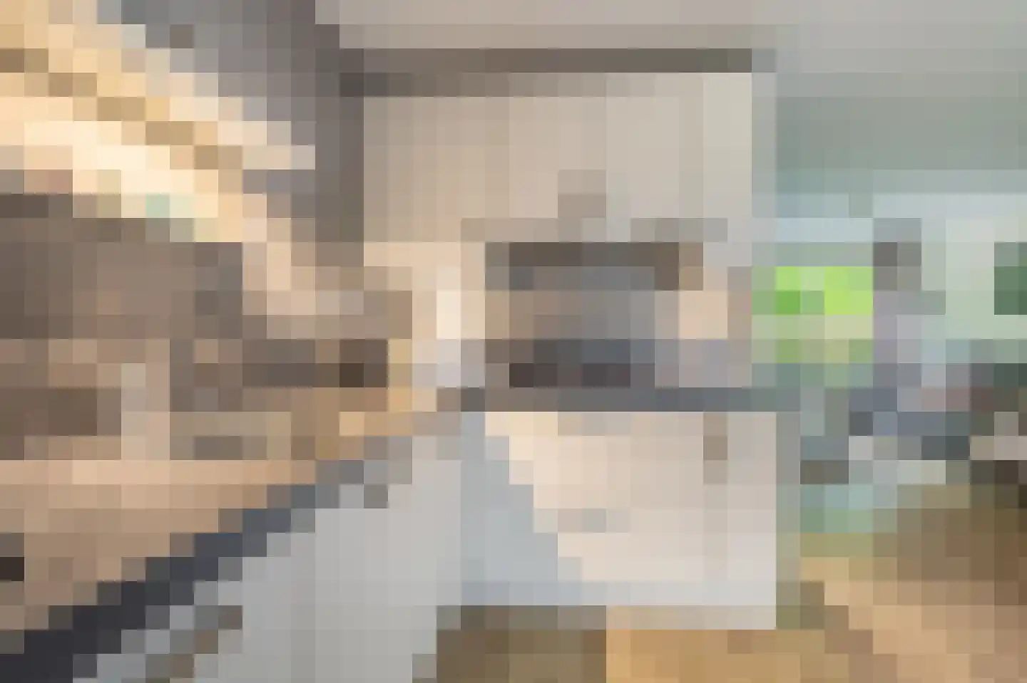 Vlaskamp 5 Delfzijl thumbnail 8