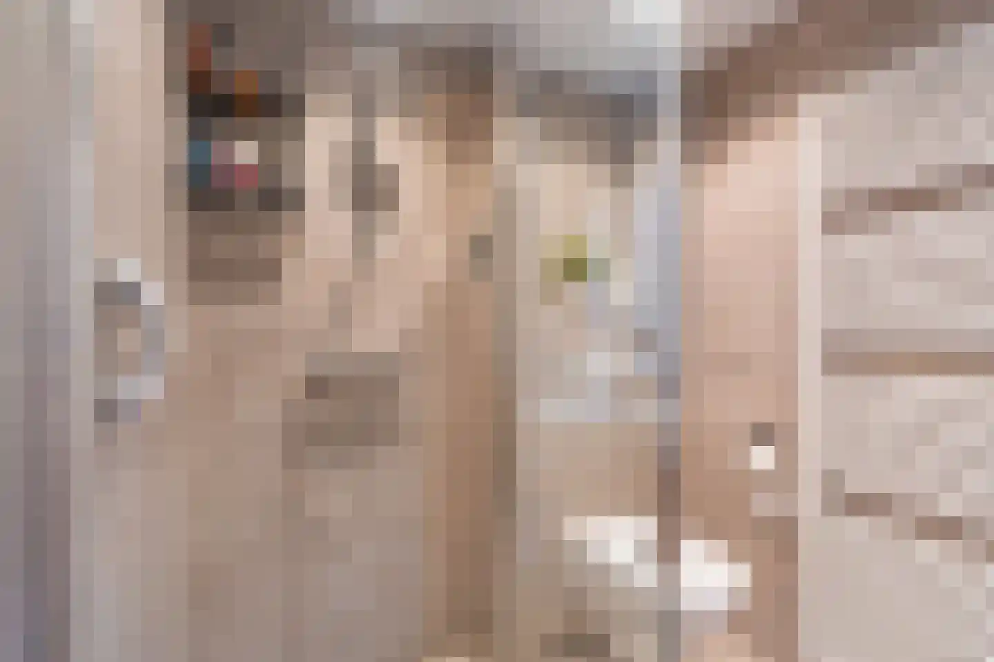 Vlaskamp 5 Delfzijl thumbnail 9