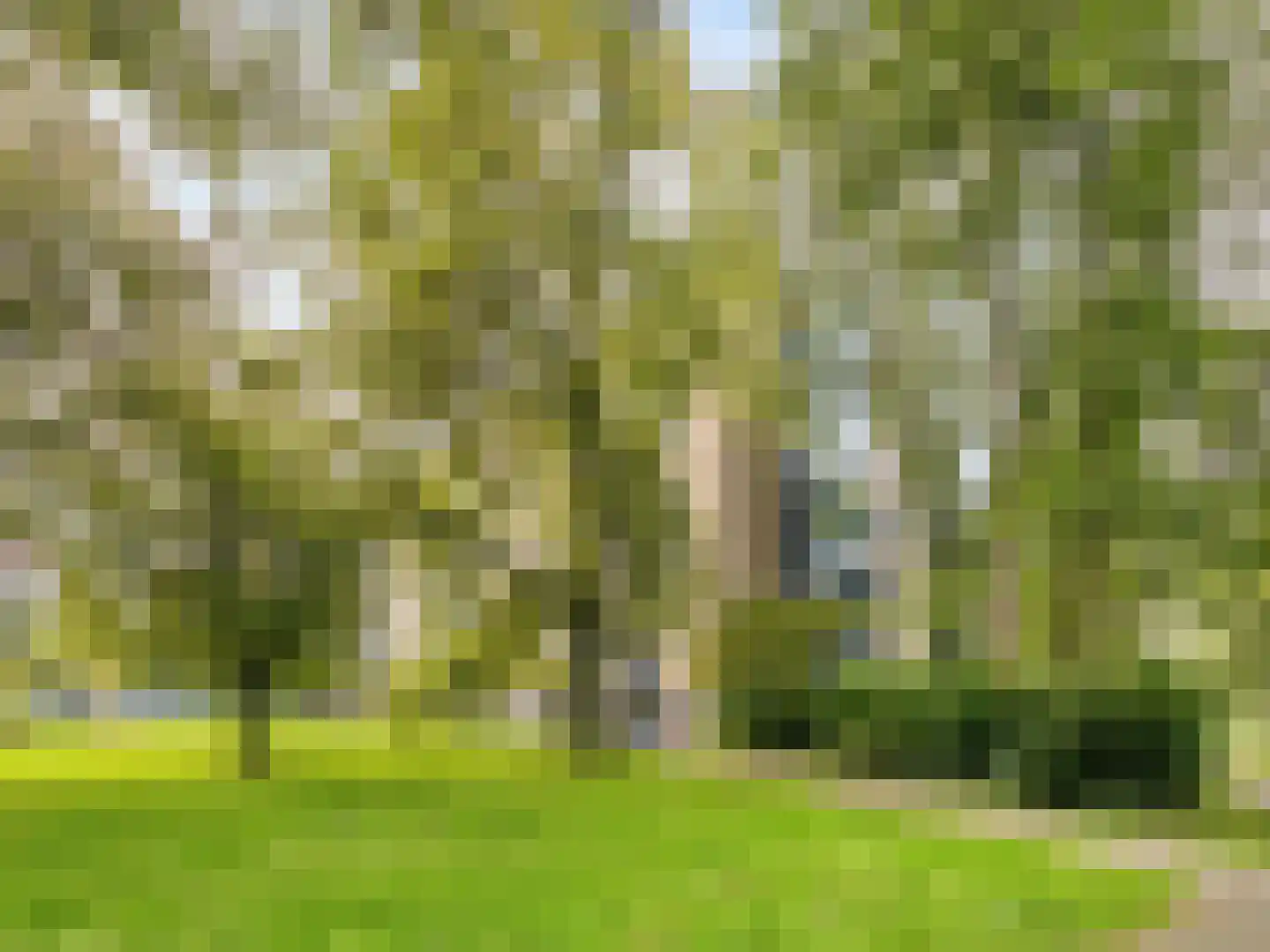 Vlaskamp 504 Den Haag thumbnail 42