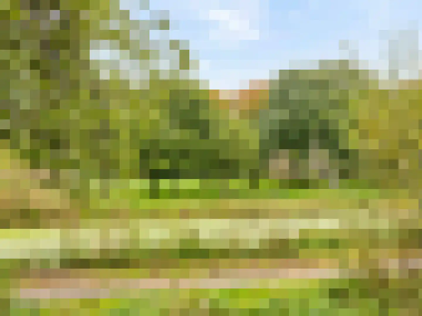 Vlaskamp 504 Den Haag thumbnail 43