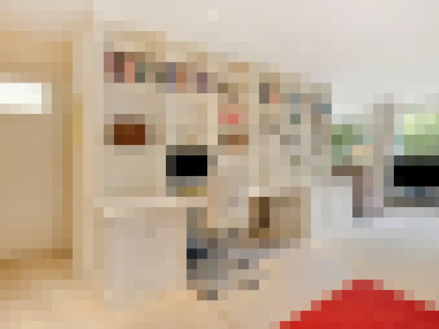 Vlaskamp 504 Den Haag thumbnail 8
