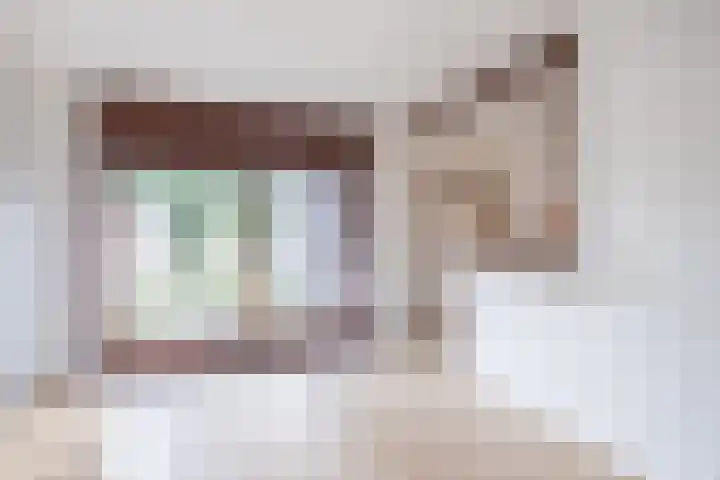 Vlaskamp 6 Hoogeveen thumbnail 10