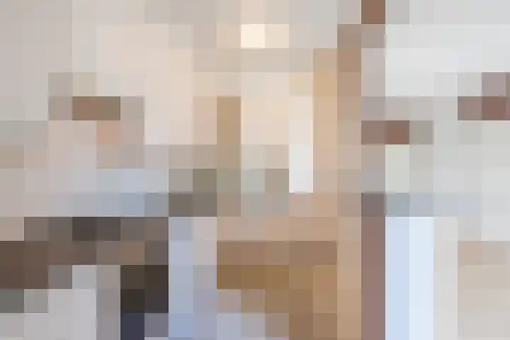 Vlaskamp 6 Hoogeveen thumbnail 13
