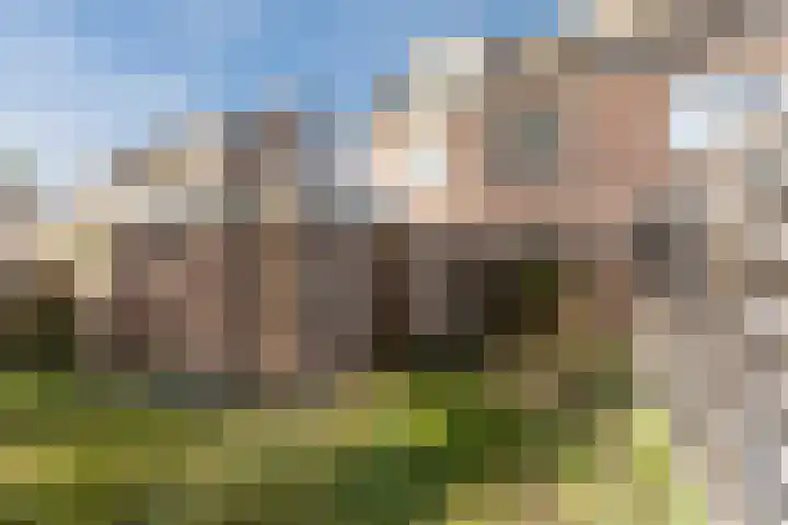Vlaskamp 6 Hoogeveen thumbnail 17