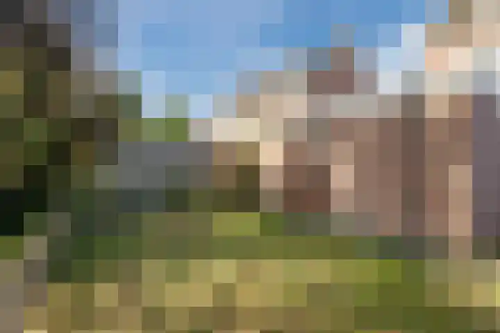 Vlaskamp 6 Hoogeveen thumbnail 18