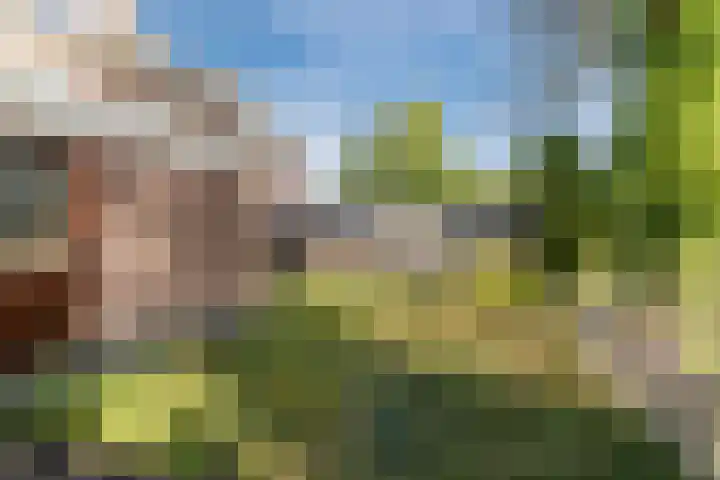 Vlaskamp 6 Hoogeveen thumbnail 19