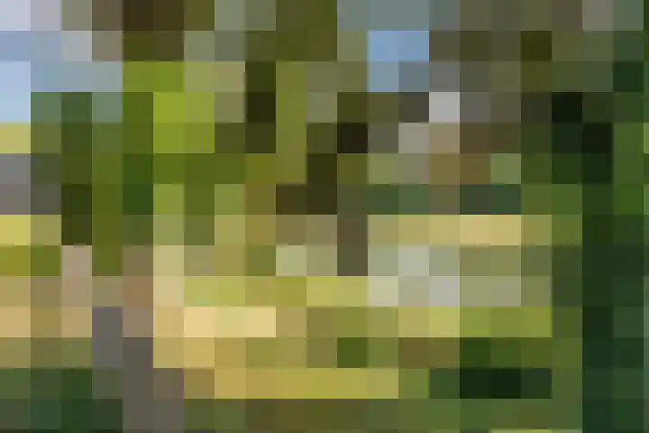 Vlaskamp 6 Hoogeveen thumbnail 20