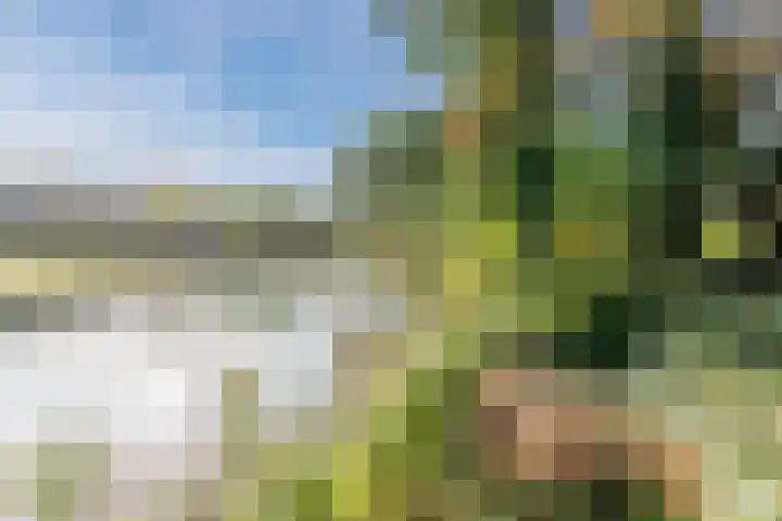 Vlaskamp 6 Hoogeveen thumbnail 21