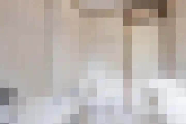 Vlaskamp 6 Hoogeveen thumbnail 26