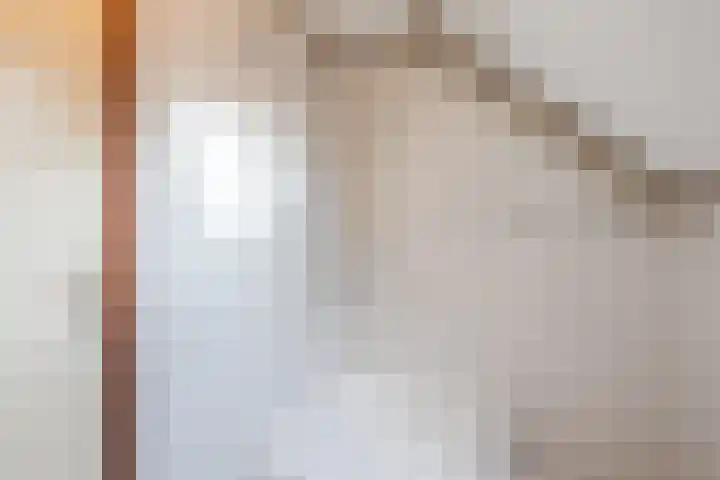 Vlaskamp 6 Hoogeveen thumbnail 30