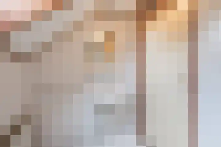 Vlaskamp 6 Hoogeveen thumbnail 31