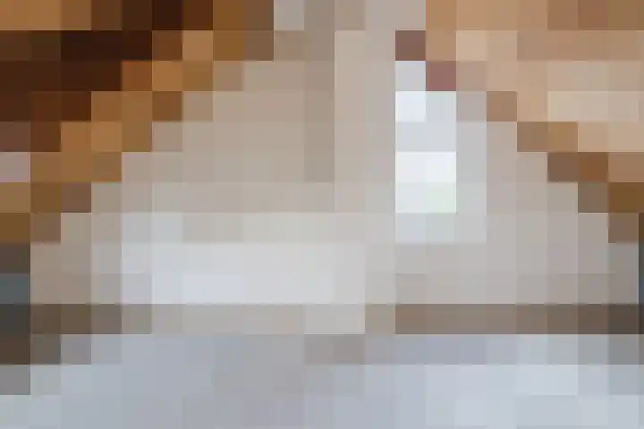 Vlaskamp 6 Hoogeveen thumbnail 32