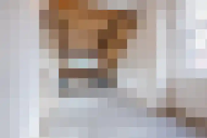 Vlaskamp 6 Hoogeveen thumbnail 34