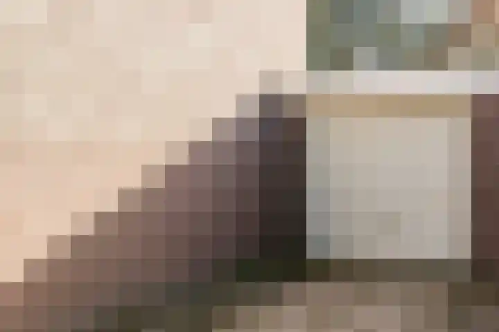 Vlaskamp 6 Hoogeveen thumbnail 35