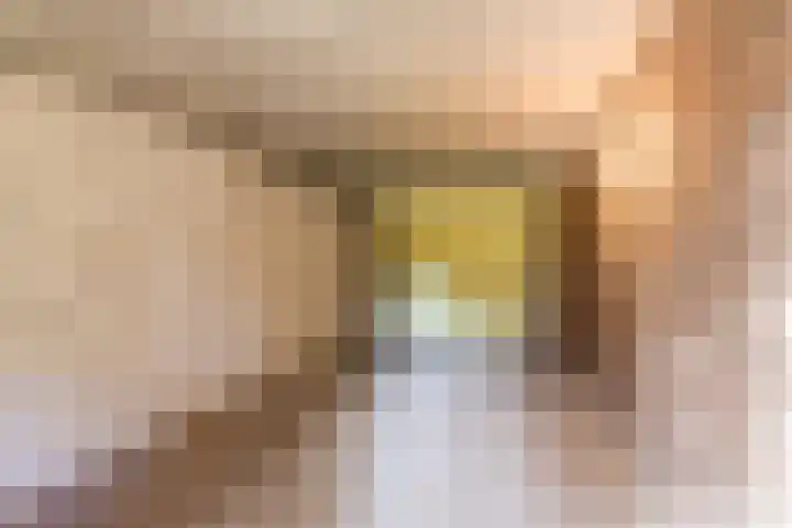 Vlaskamp 6 Hoogeveen thumbnail 36
