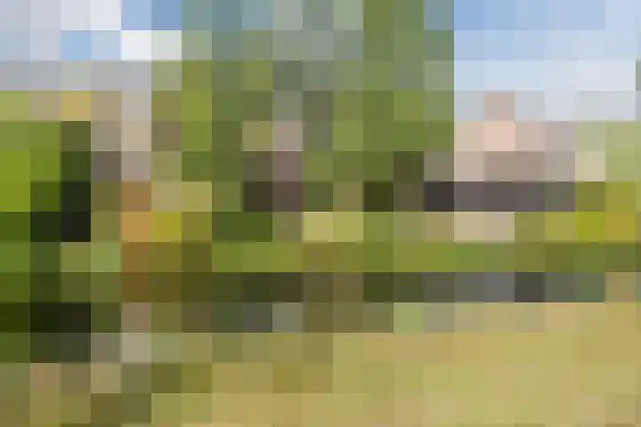 Vlaskamp 6 Hoogeveen thumbnail 38