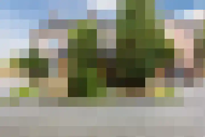 Vlaskamp 6 Hoogeveen thumbnail 4