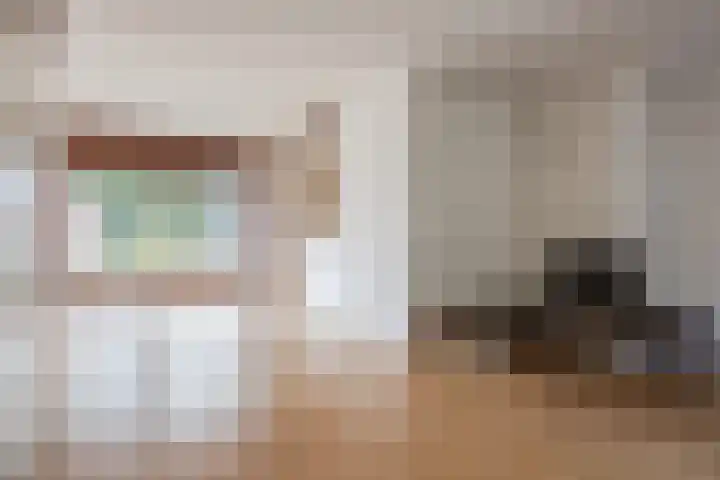 Vlaskamp 6 Hoogeveen thumbnail 6