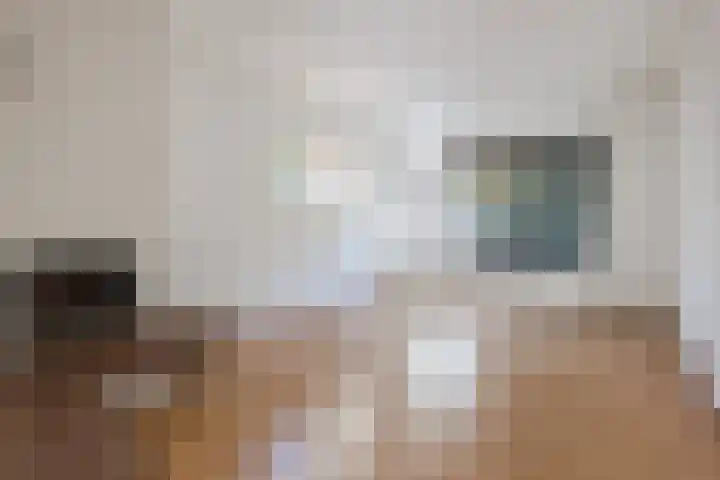 Vlaskamp 6 Hoogeveen thumbnail 7