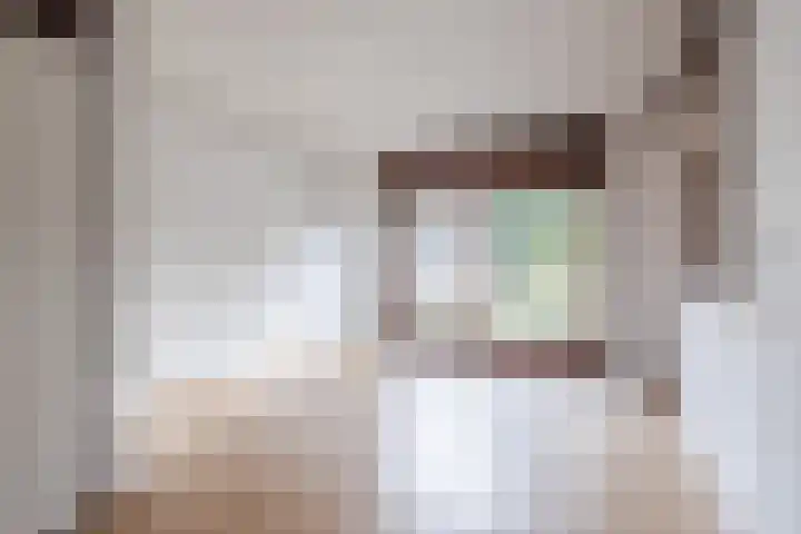 Vlaskamp 6 Hoogeveen thumbnail 9