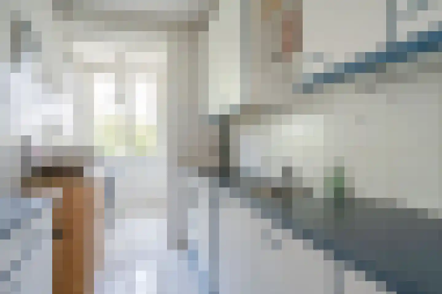 Vlaskamp 642 Den Haag thumbnail 18
