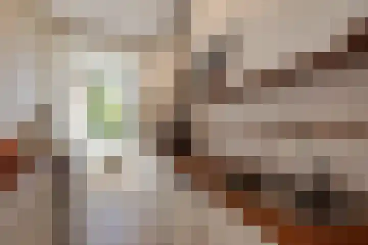 Vlaskamp 656 Den Haag thumbnail 13