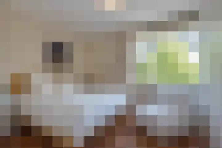 Vlaskamp 656 Den Haag thumbnail 15
