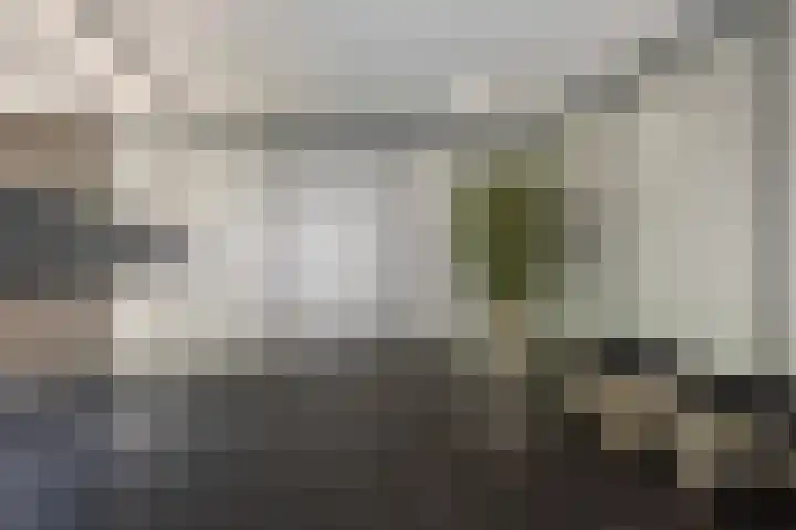 Vlaskamp 656 Den Haag thumbnail 19