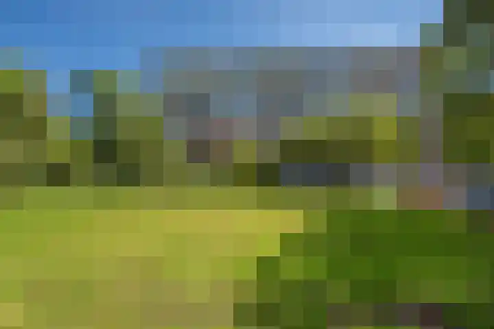 Vlaskamp 656 Den Haag thumbnail 24
