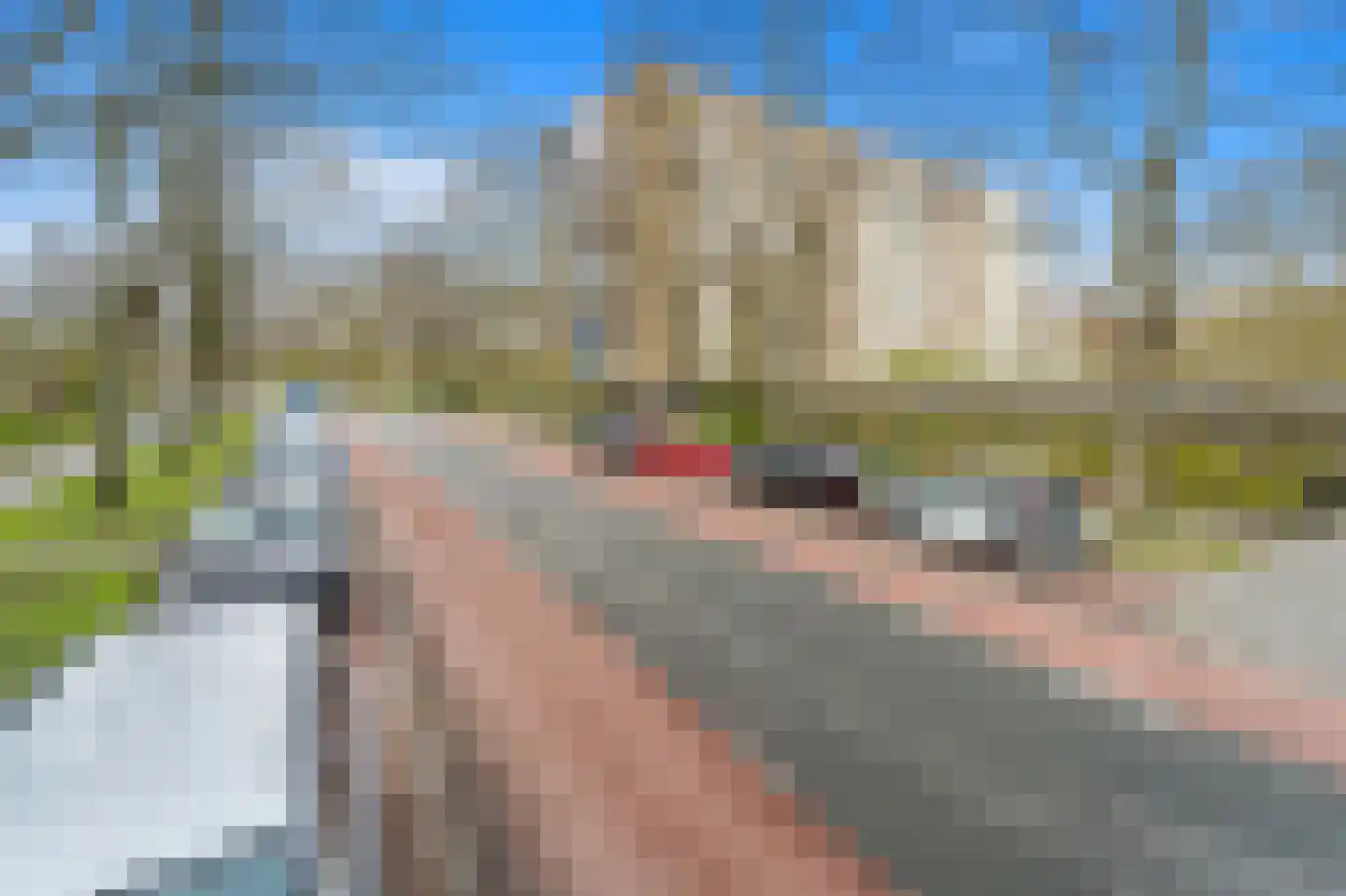 Vlaskamp 72 Den Haag thumbnail 30