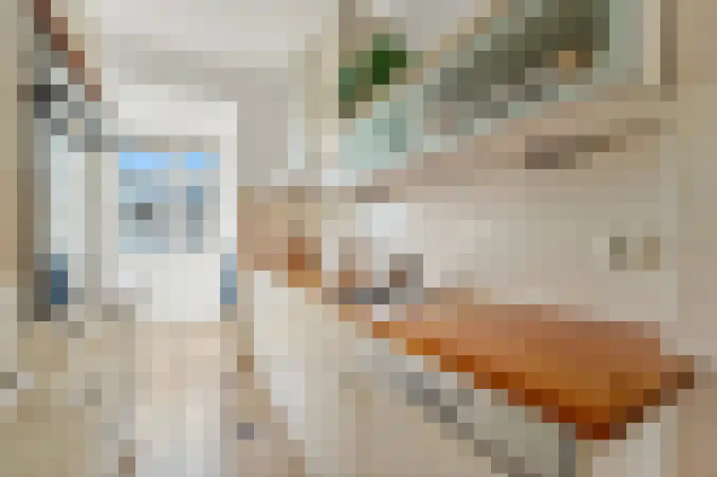 Vlaskamp 72 Den Haag thumbnail 4