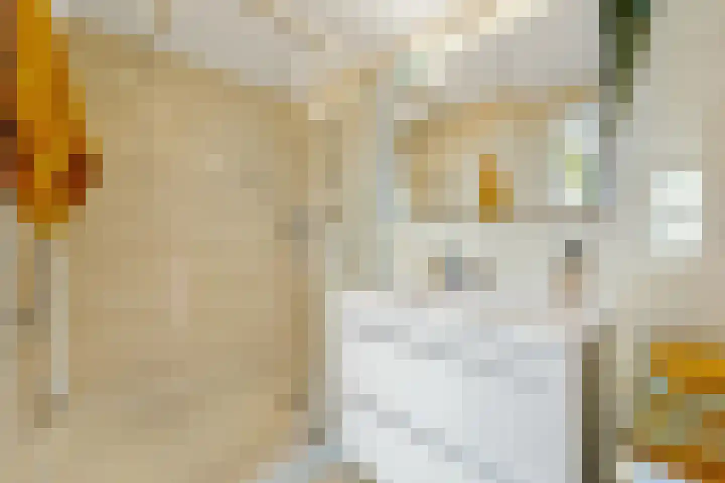 Vlaskamp 72 Den Haag thumbnail 5