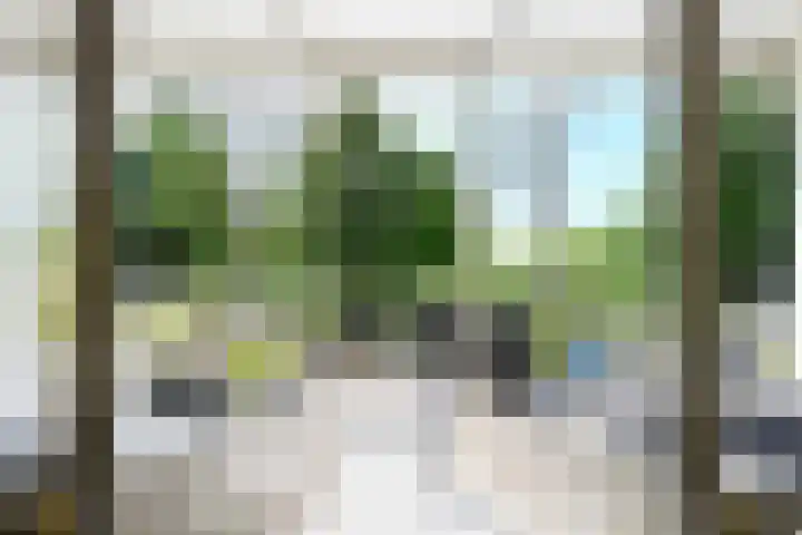 Vlaskamp 94 Den Haag thumbnail 13